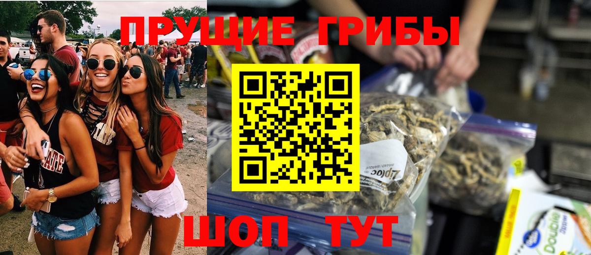 дарнет шоп  Вход с VPN  Домодедово  Псилоцибиновые грибы мицелий 