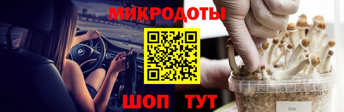 Псилоцибиновые грибы GOLDEN TEACHER Домодедово